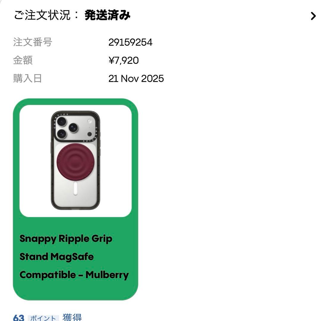 casetify ケースティファイ マルベリー iPhone 16 ProMax