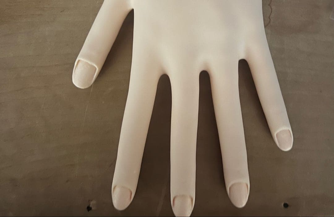 【箱付き】JNEC認定モデルハンド ネイリスト技能検定