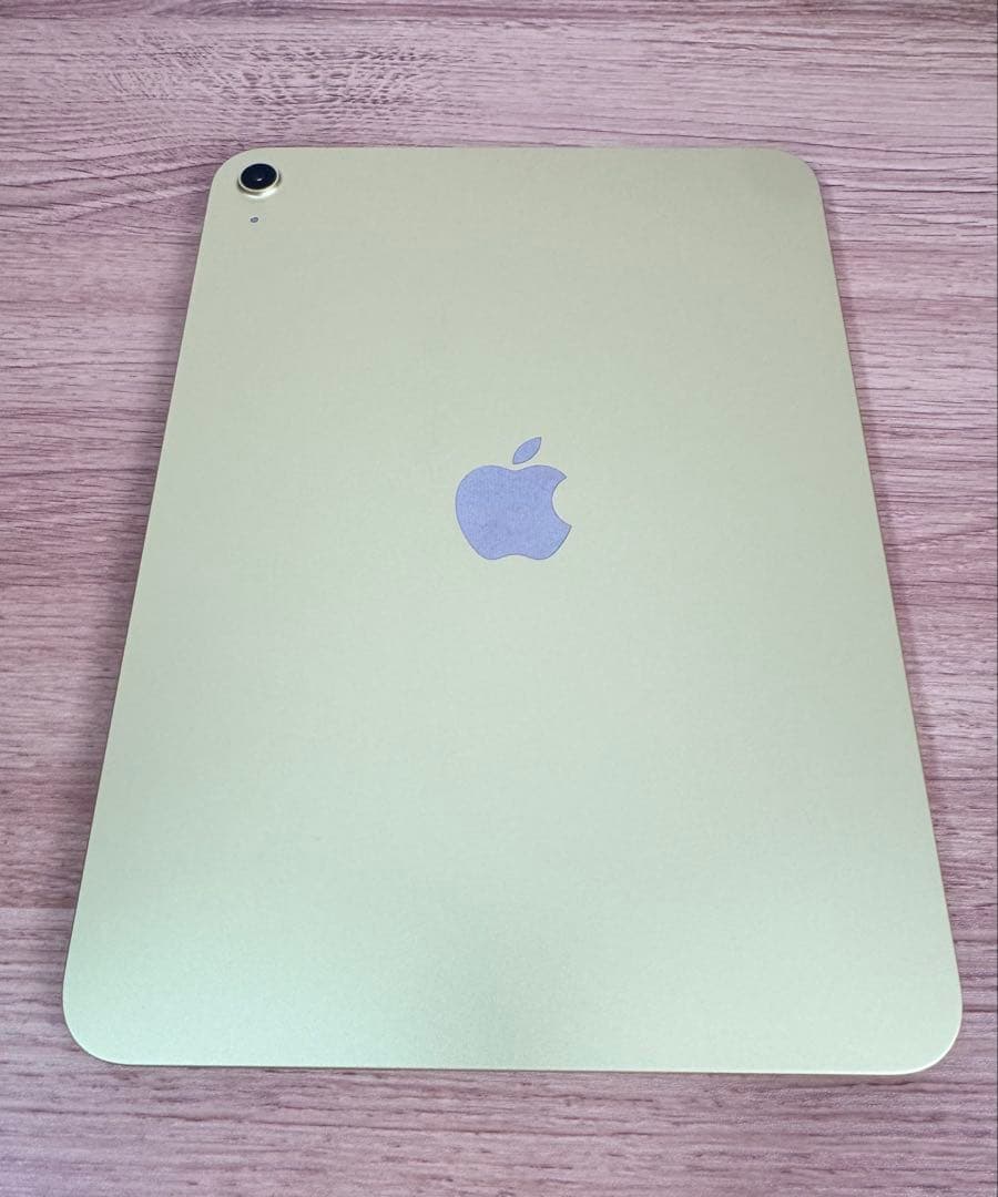 iPad本体 iPad (A16)