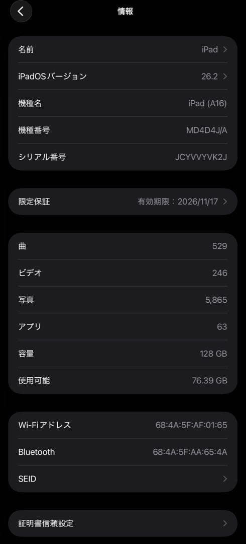 iPad本体 iPad (A16)