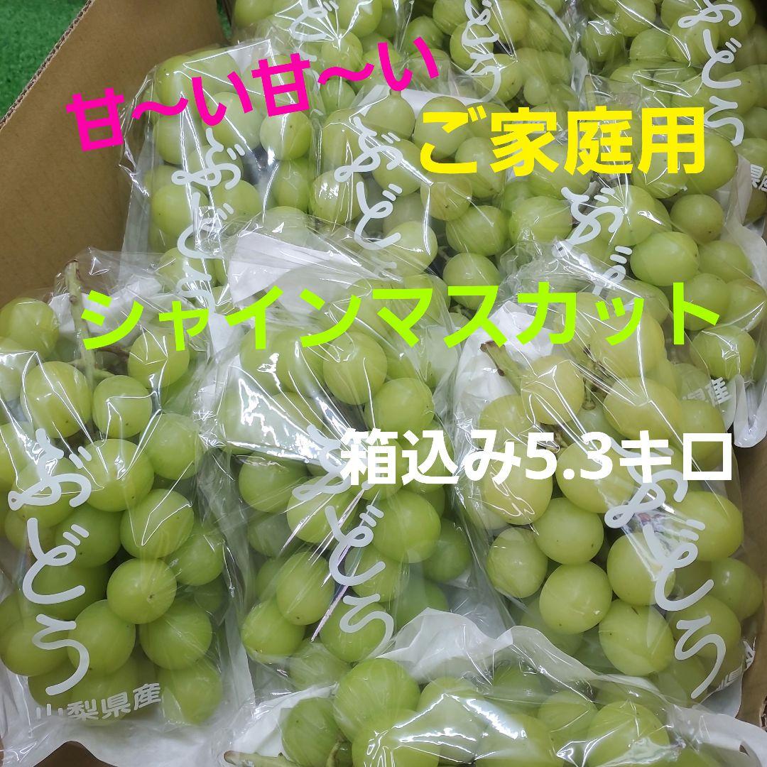 1⃣3️⃣ 山梨県産 シャインマスカット １０房入り 箱込み5.3キロ