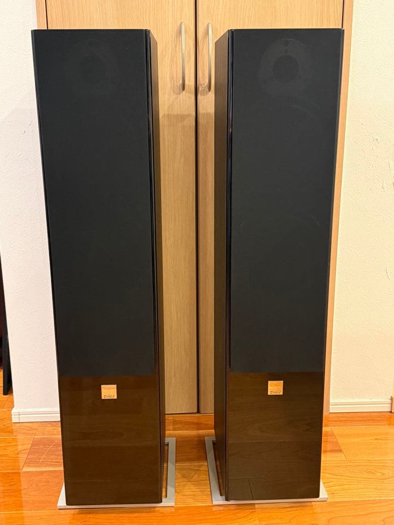 美品 DALI ZENSOR7 ブラック 1本