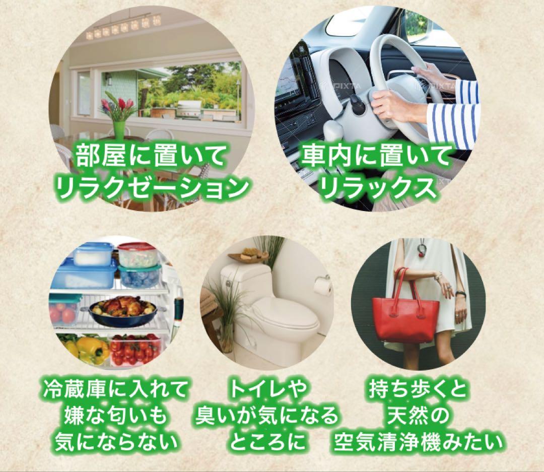 リラクトン フィトンチッド 60g×2個 新品未開封