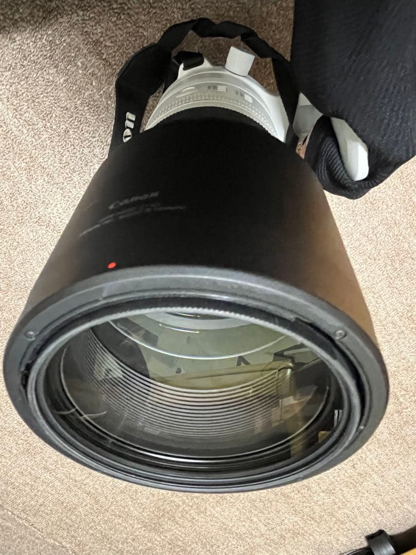 値下げ❌Canon RF200-800mm F6.3-9 IS USM望遠レンズ
