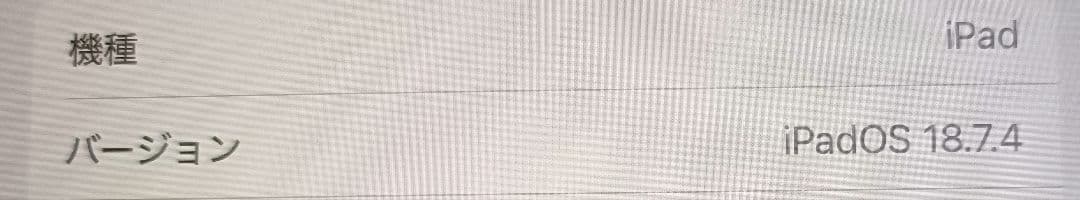 Apple iPad 7 A2197 第7世代 10.2インチ シルバー