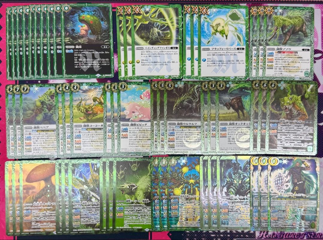 天地転世/ユム・カアシュ/菌樹/3コン/19