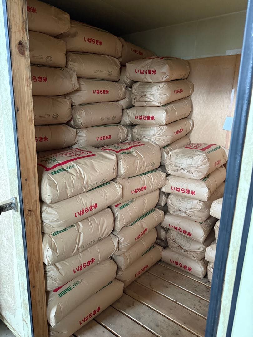 令和7年産　コシヒカリ　茨城県産　農家直送　玄米30kg 保冷庫保存　送料無料