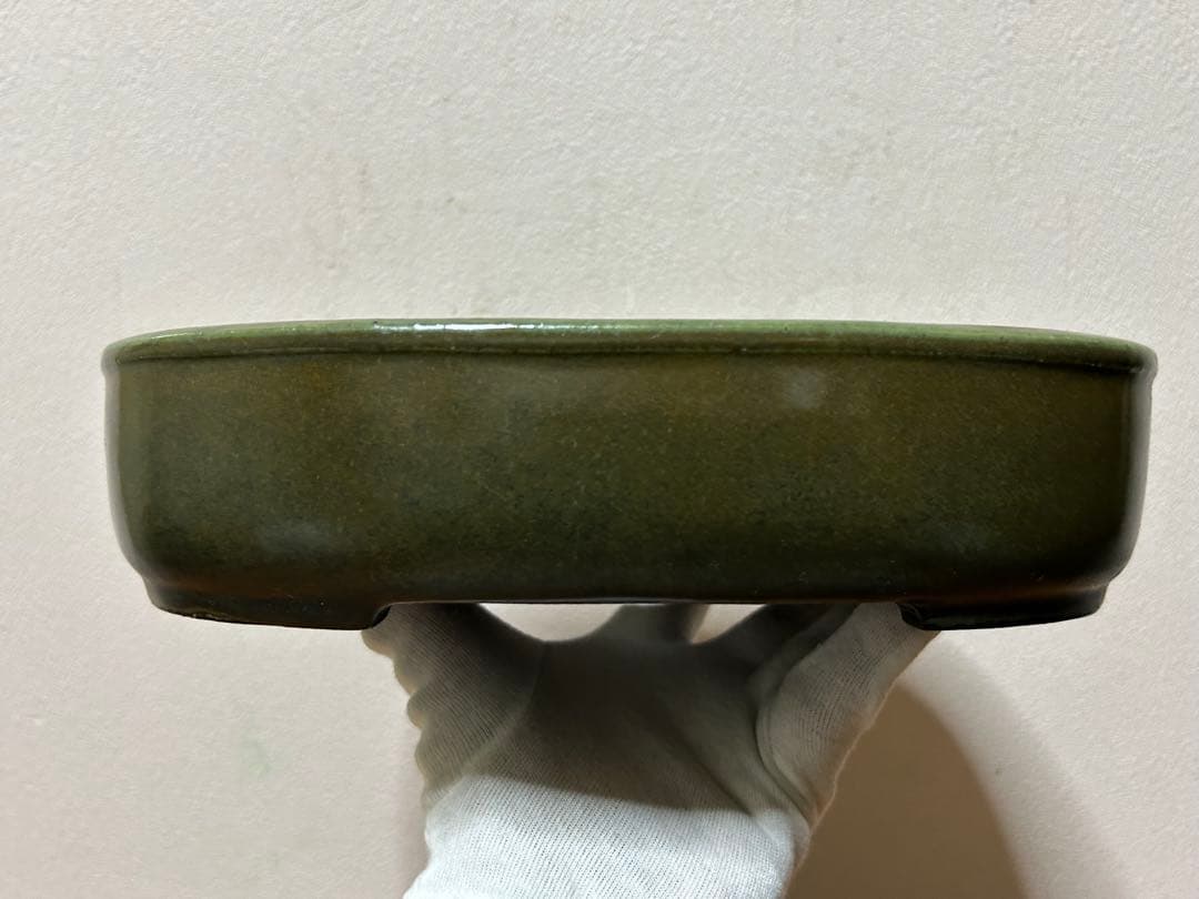 鴻陽　盆栽鉢　小品盆栽　山野草