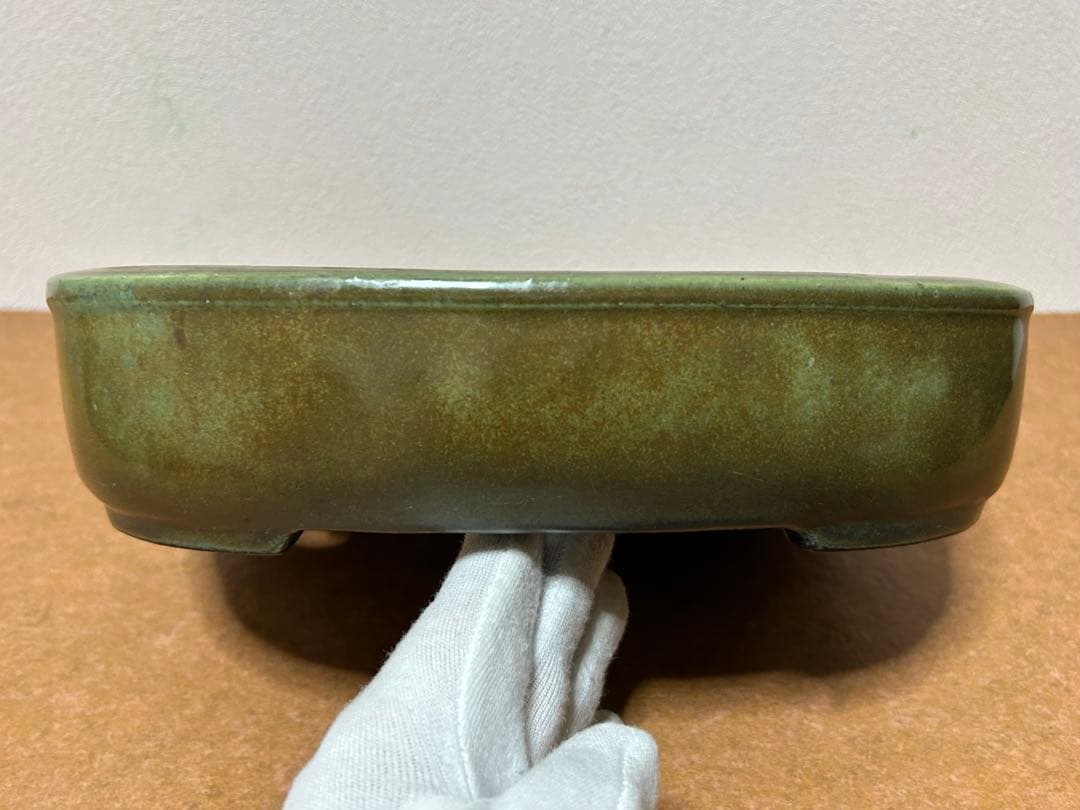 鴻陽　盆栽鉢　小品盆栽　山野草