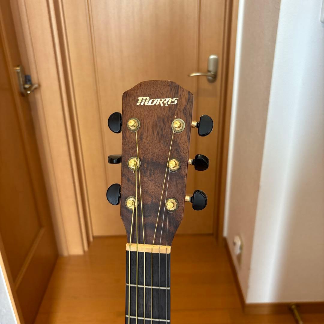Morris S-60 アコースティックギター