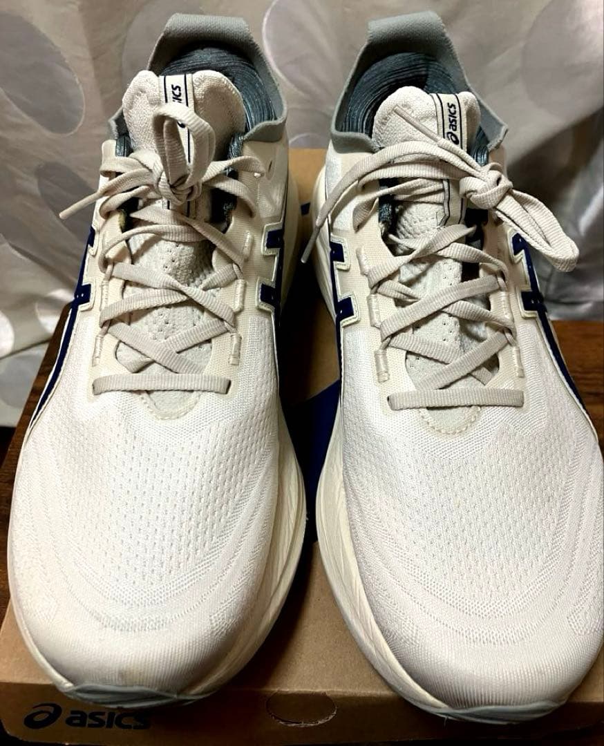 asics アシックスGEL-NIMBUSゲルニンバス27 28.0cm