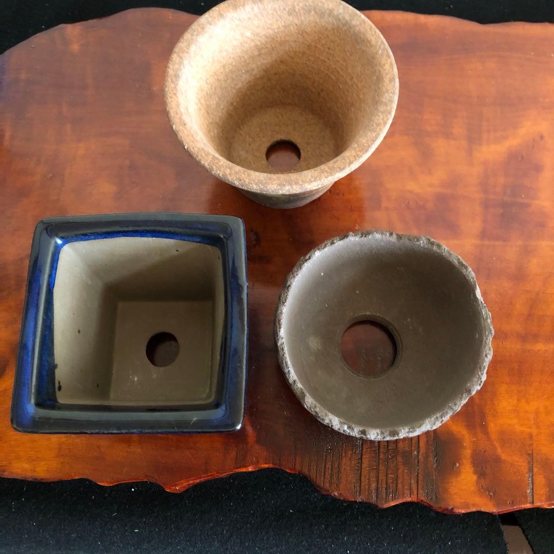 盆栽　山野草　サボテン　多肉植物鉢　4セット(11個)未使用品その他