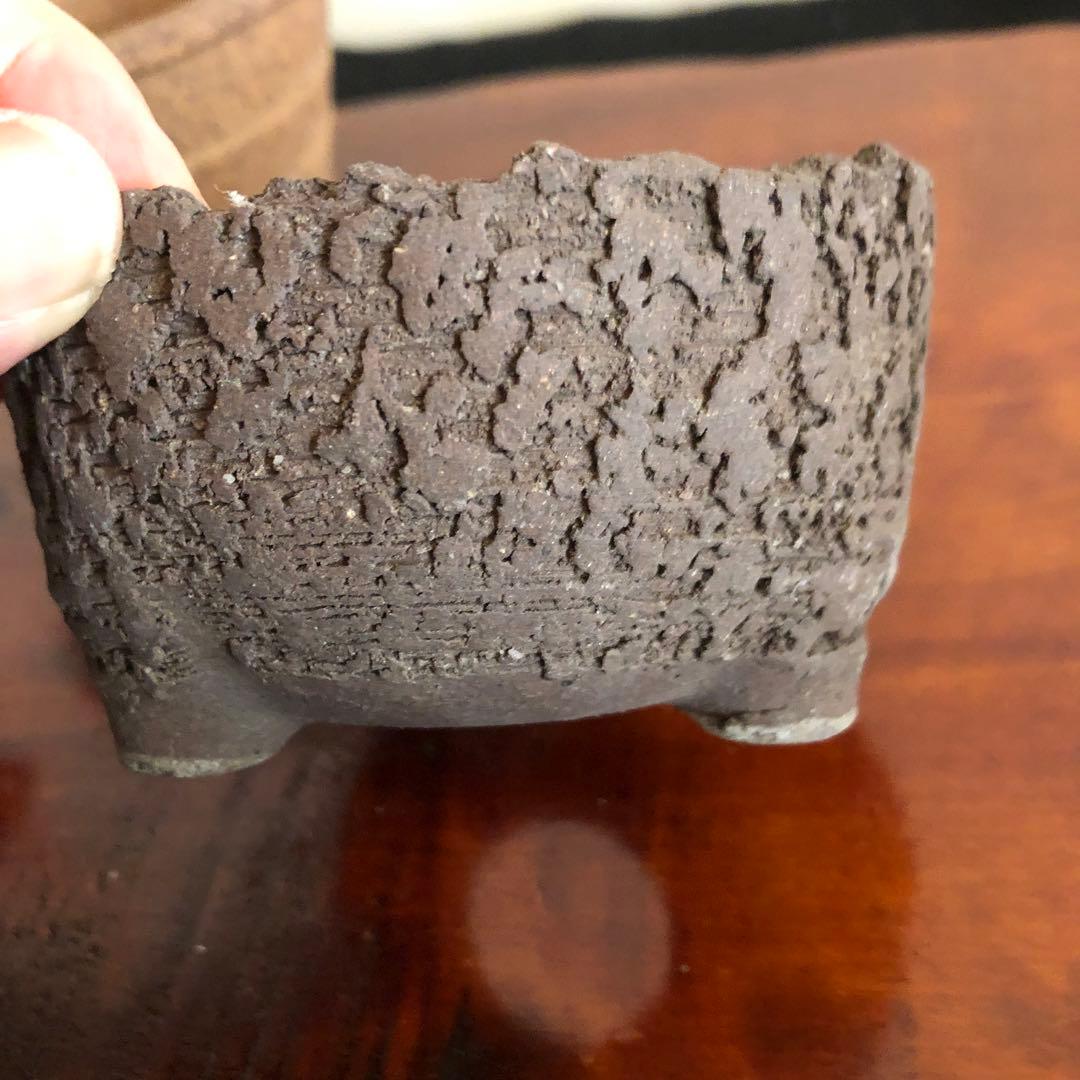 盆栽　山野草　サボテン　多肉植物鉢　4セット(11個)未使用品その他