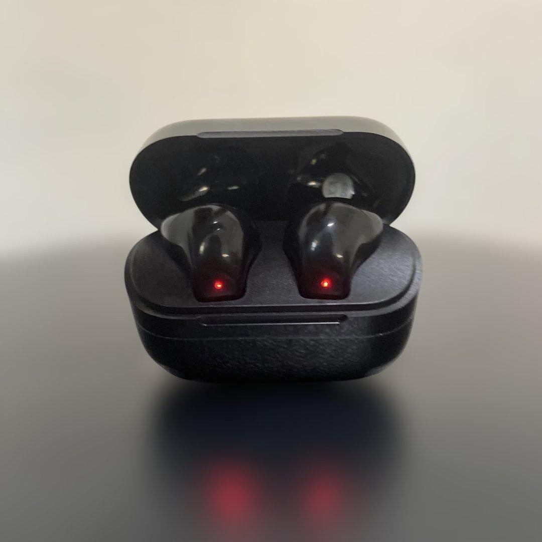 lanxun dtsx digital outワイヤレスイヤホン