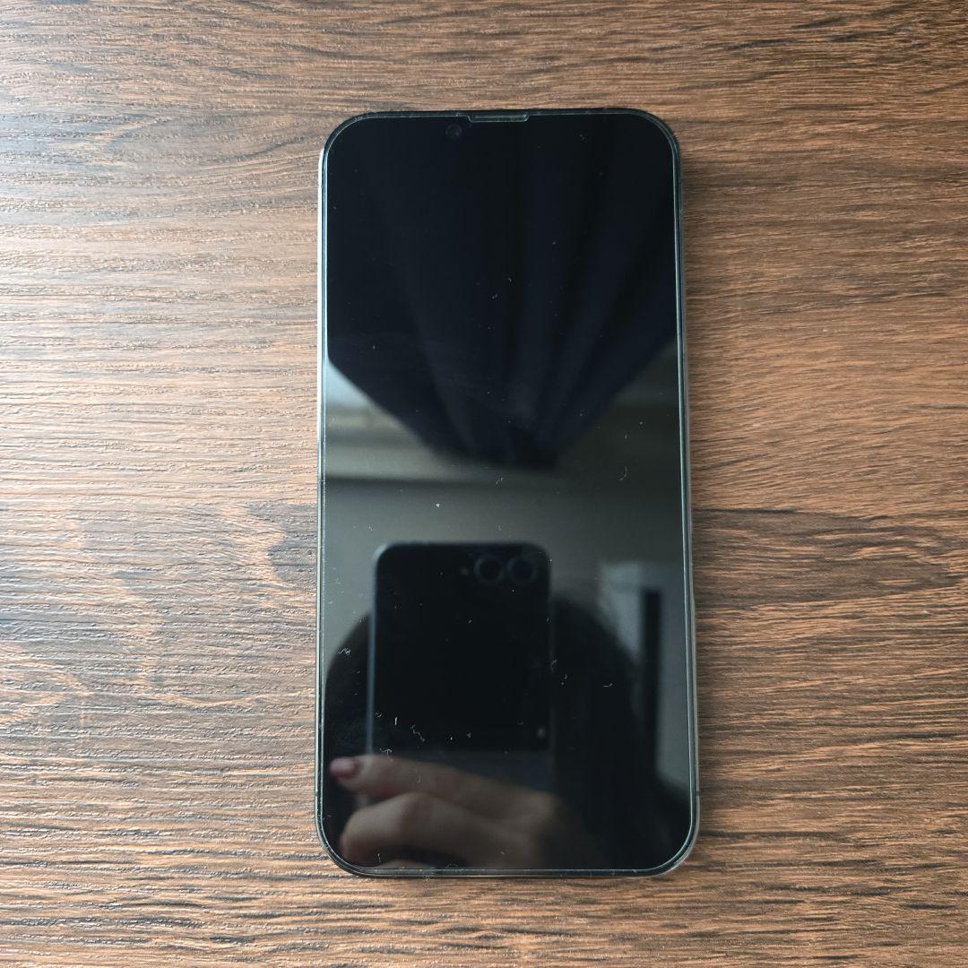 iPhone 13 Pro Max 256GB 海外版カメラ音なし