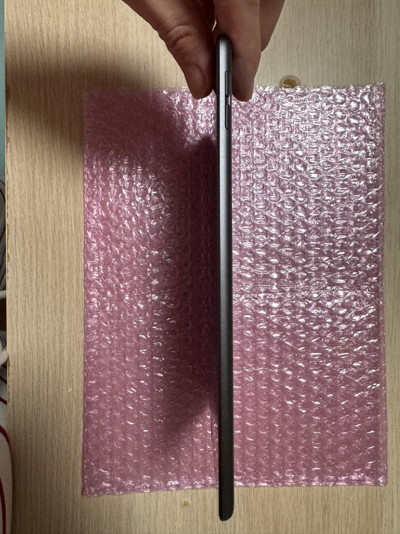 iPad本体 iPad mini5 64GB wifi