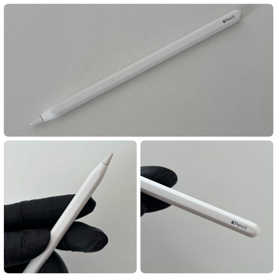 iPad Apple Pencil A1980 A2051 ケースのおまけ付き