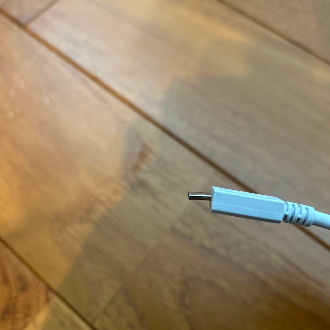 Bose ワイヤレススピーカー グレー　【充電器不備あり】