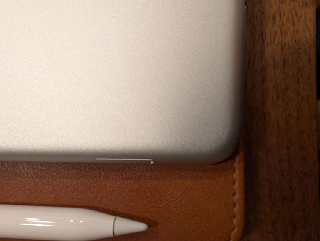 【付属品多数】iPad Pro 10.5 シムフリー 64GB シルバー