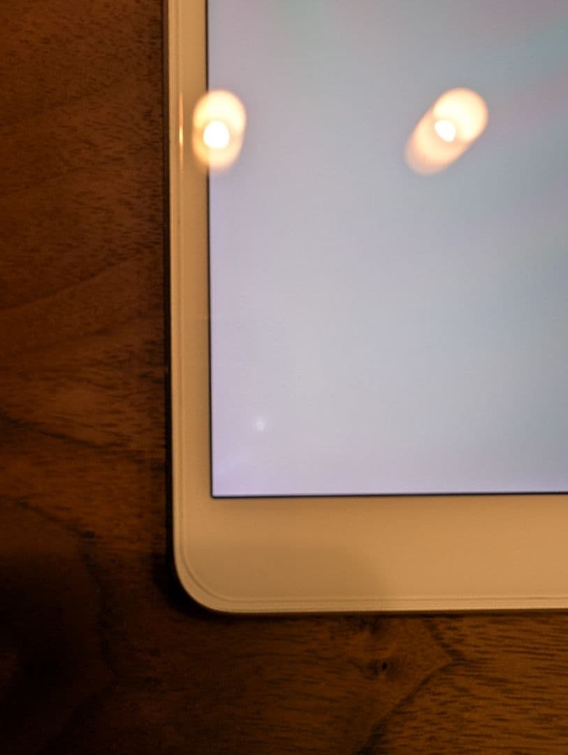 【付属品多数】iPad Pro 10.5 シムフリー 64GB シルバー