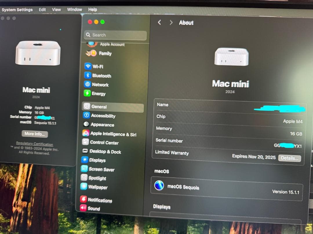 お値下げ　Mac mini M4 10GB Ethernet