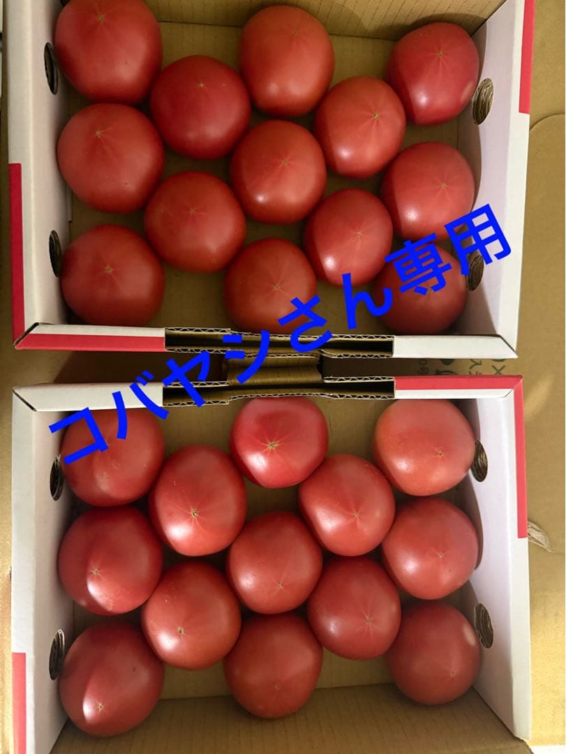コバヤシさん専用 アメーラトマト 5ケース