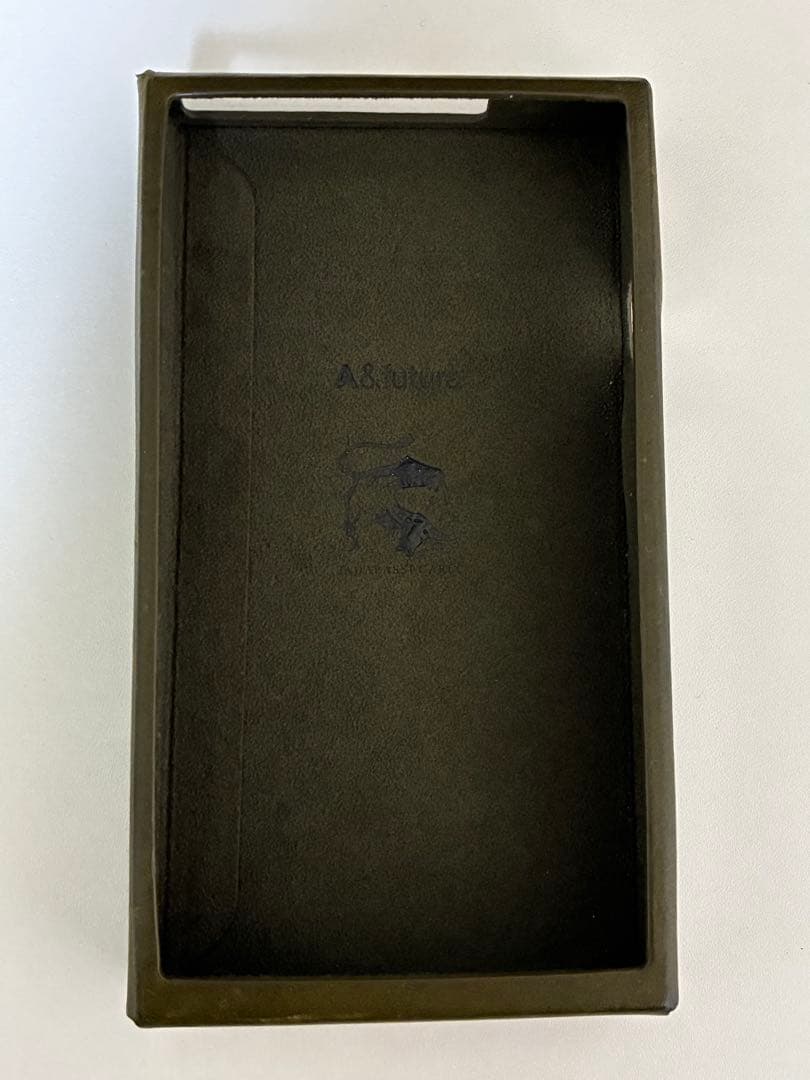 ポータブルプレーヤー Astell&kern A&futura SE300 TITAN