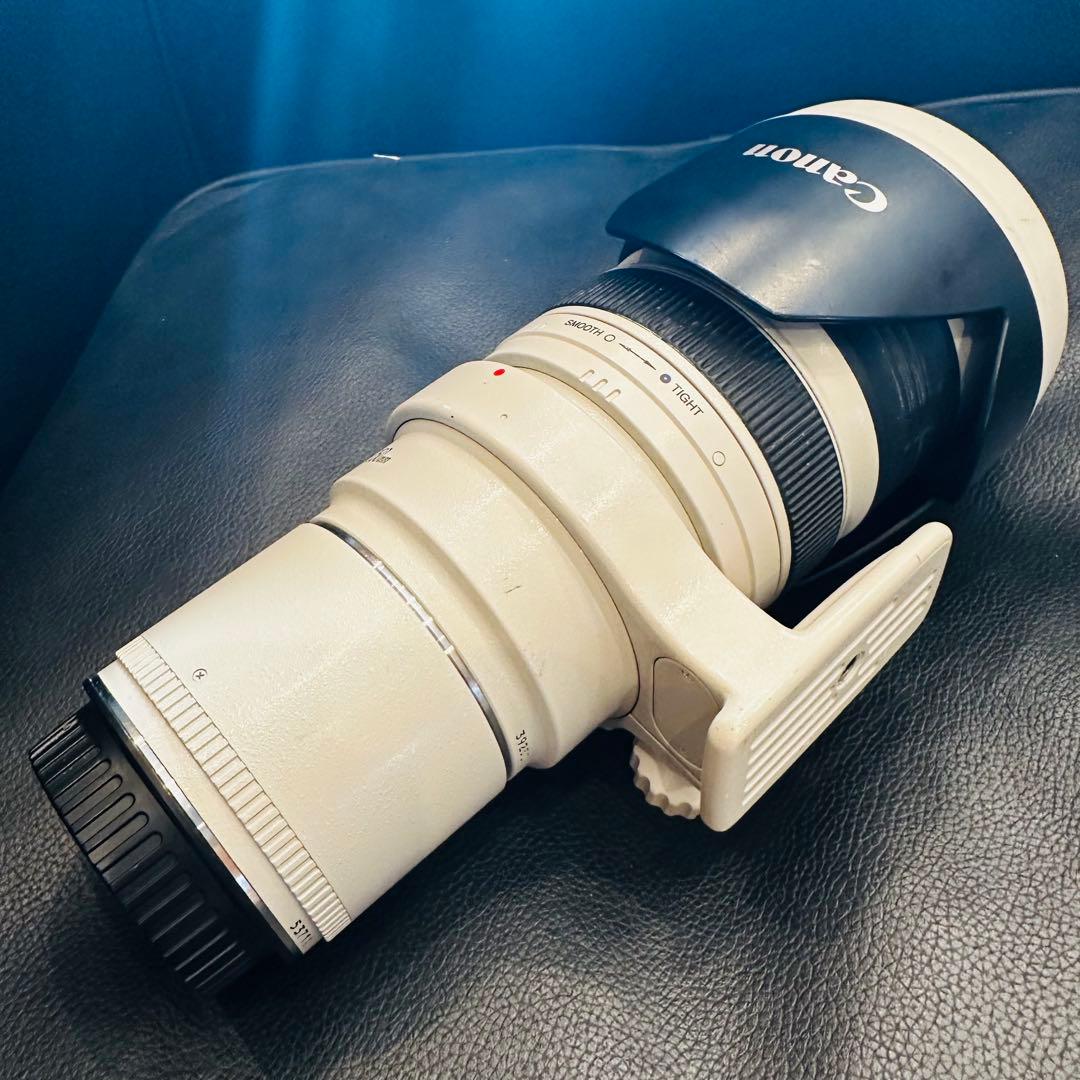 ⭐️美品USED Canon EF 35-350mm ズームレンズ⭐️エクステンダー