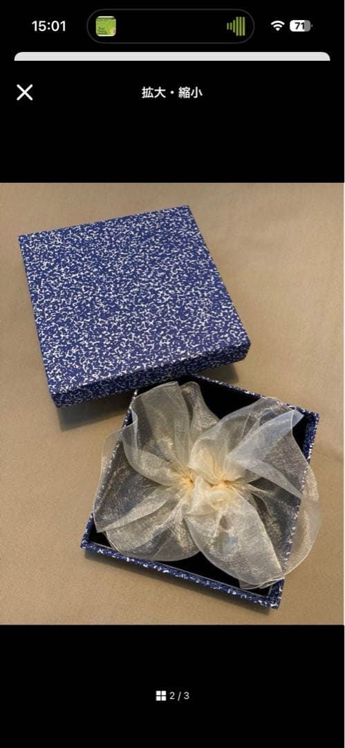 片方のみ！ paloma wool ピアス