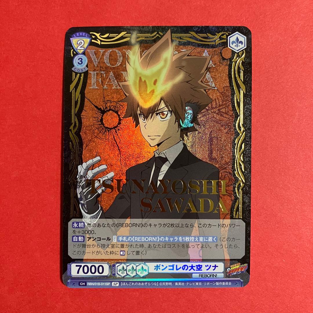 家庭教師ヒットマンREBORN! ボンゴレの大空　ツナ　SP