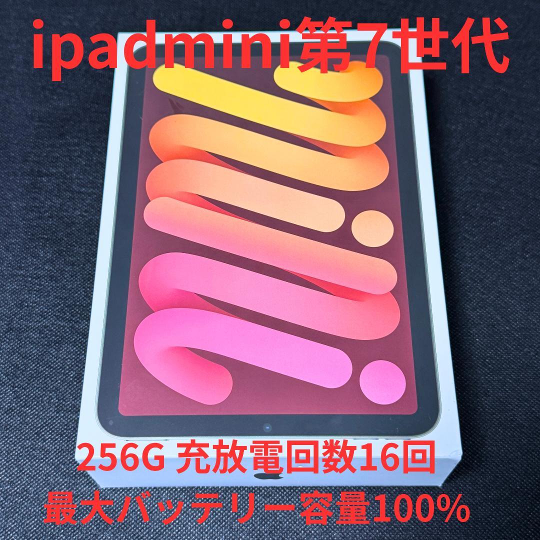 Apple iPad mini 第7世代 256GB 充放電回数16回