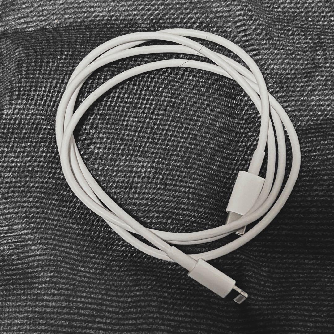 Apple AirPods Pro2 イヤホン ケース 本体 付属品あり