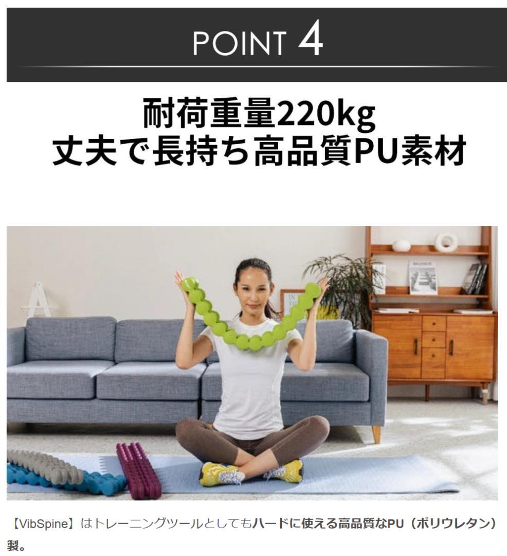 【12/16迄★半額】未開封 Vib Spine エクササイズマット ブラック