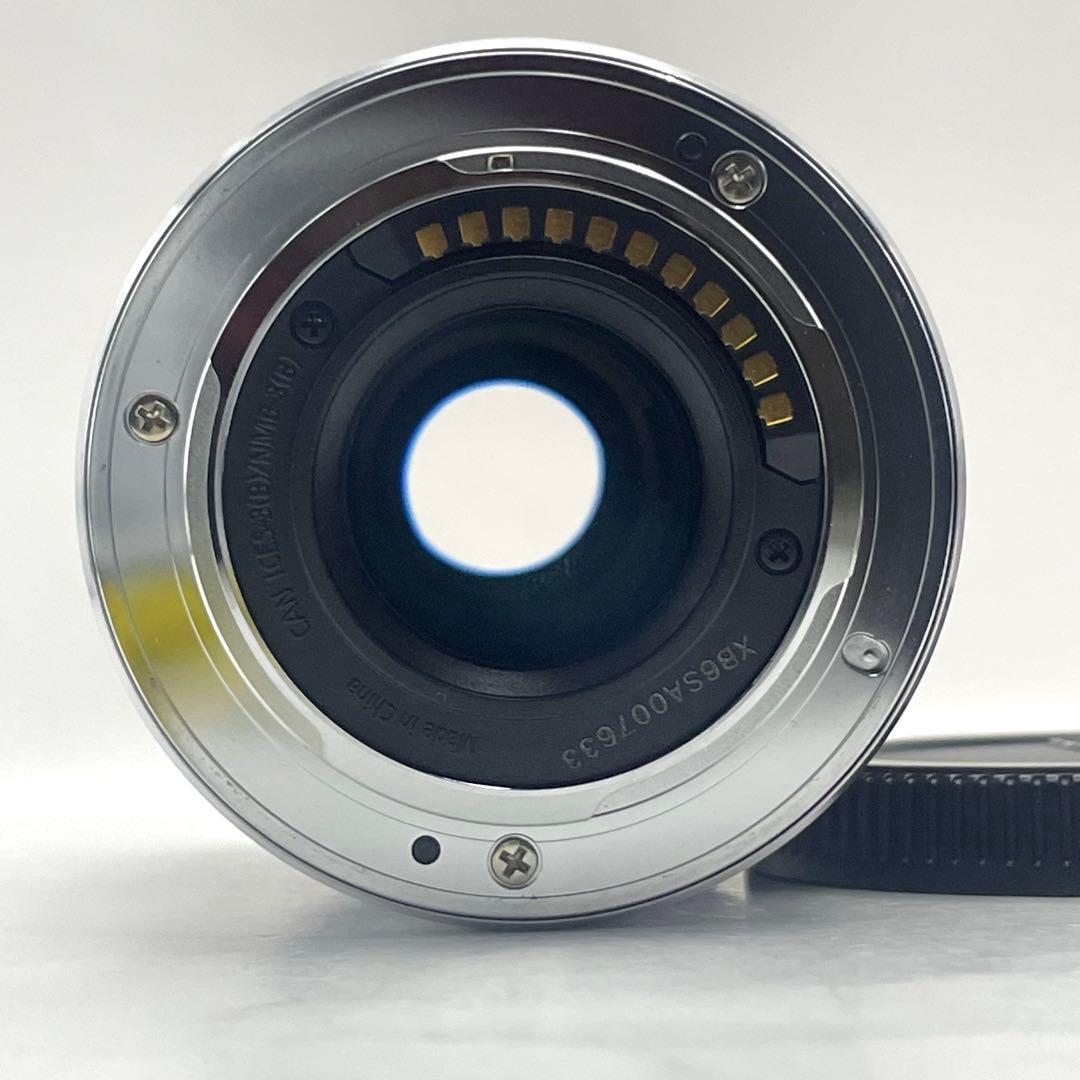 極美品 パナソニック LUMIX ズームレンズ H-FS35100 シルバー