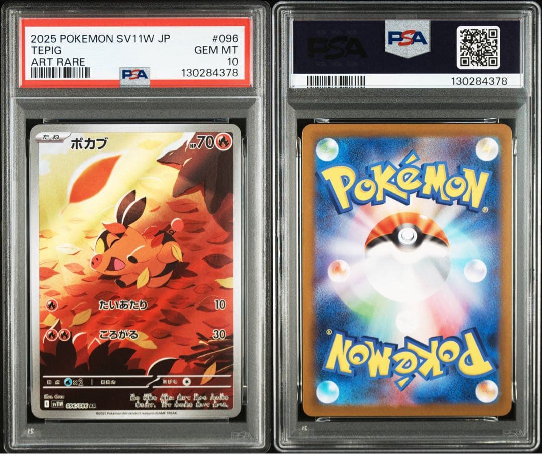 PSA10 ３連番 御三家 ツタージャ ポカブ ミジュマル AR ブラホワ