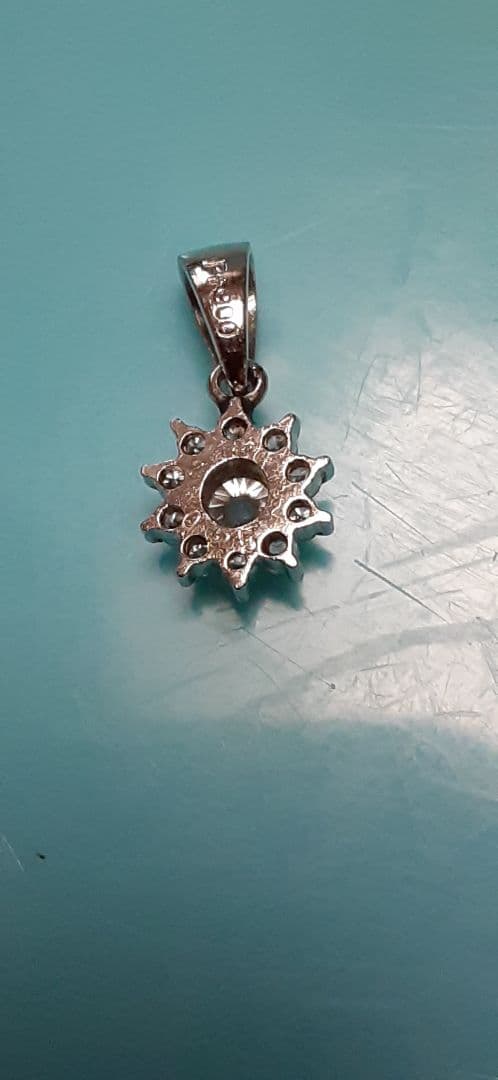 pt900ダイヤペット