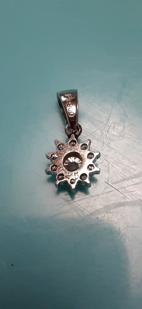 pt900ダイヤペット