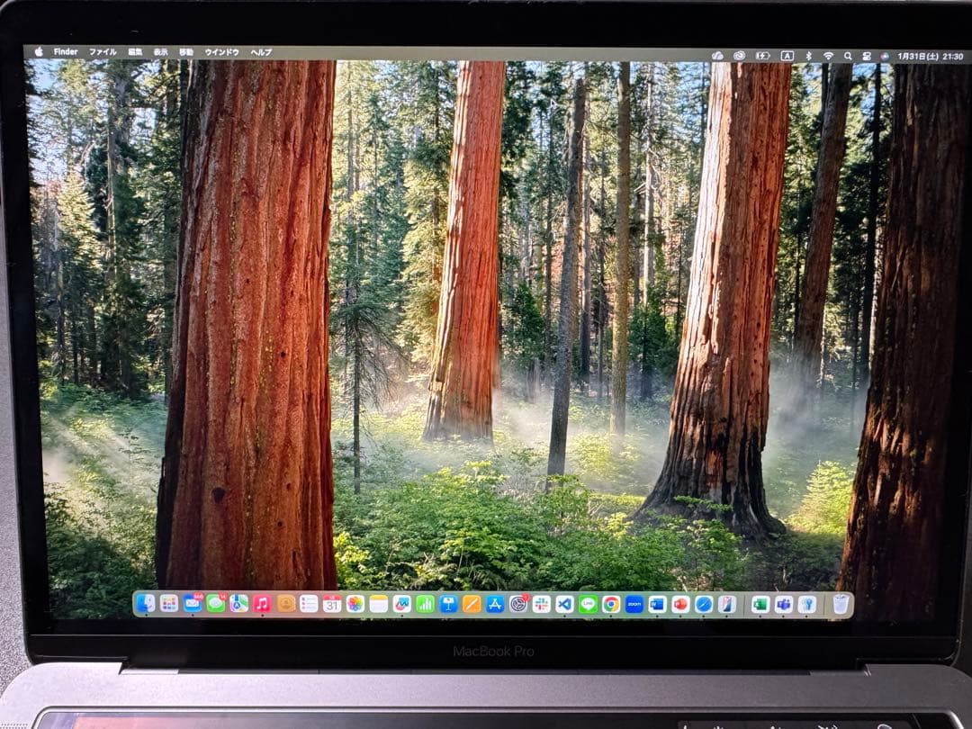 MacBook本体 Apple MacBook Pro 2019