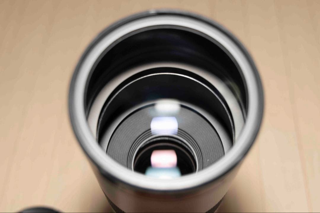 アリ Canon RF 200-600mm F4.5-5.6 USM