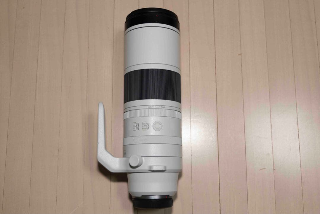 アリ Canon RF 200-600mm F4.5-5.6 USM