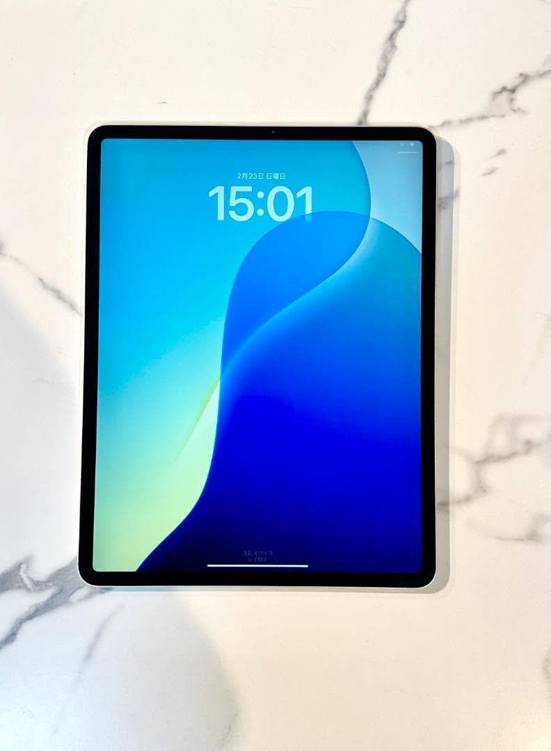 iPad Pro 12.9インチ　第4世代　256gb