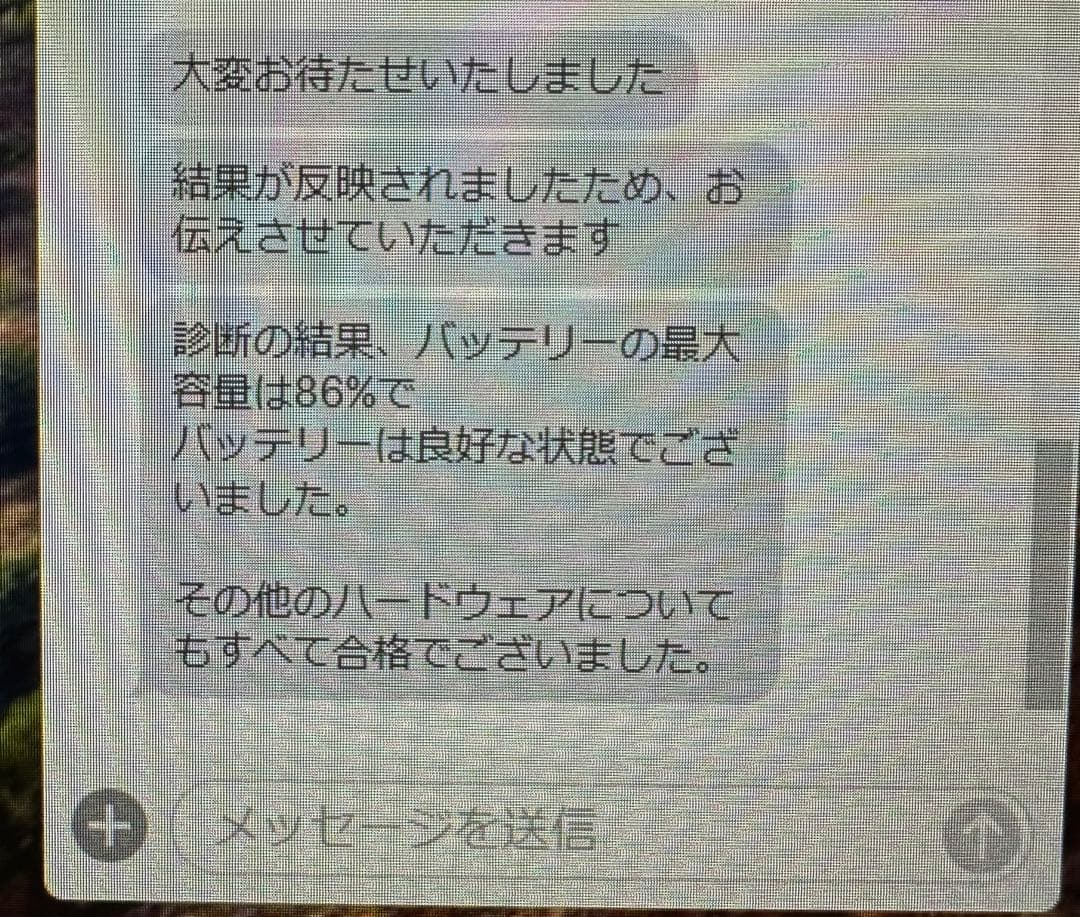 iPad Pro 12.9インチ　第4世代　256gb