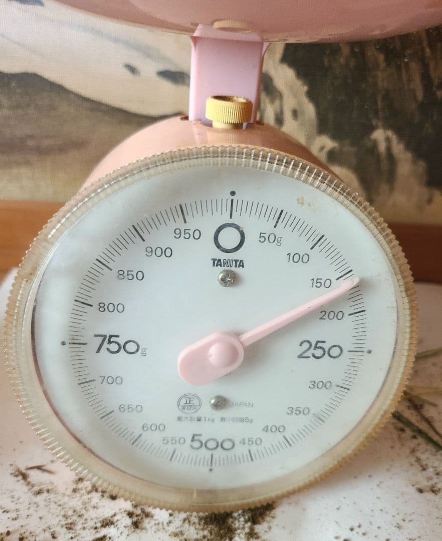 松茸　長野県　 約150g