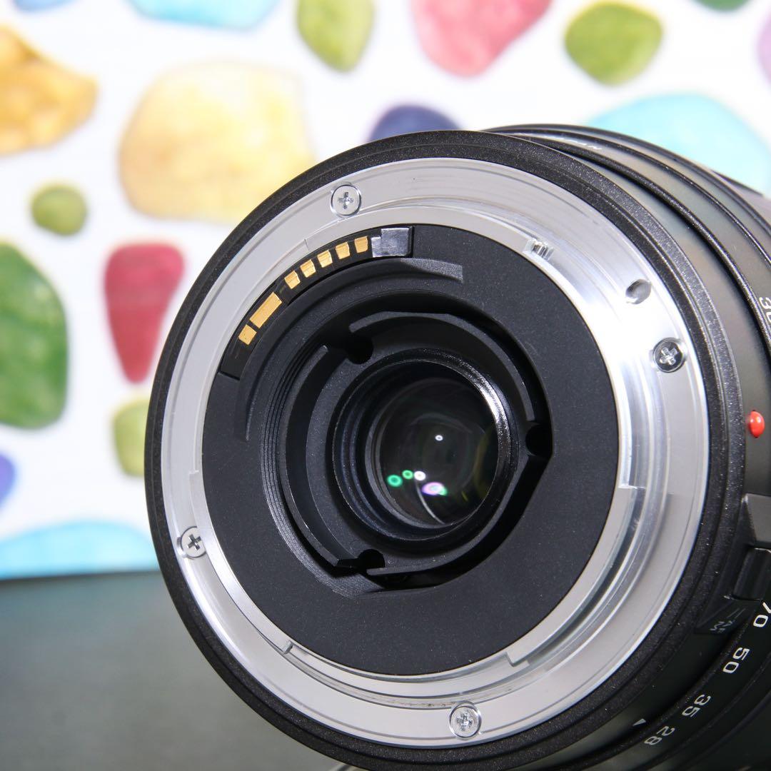 ♥︎◇近くも遠くもOKです♪ Tamron 28-300mm canon