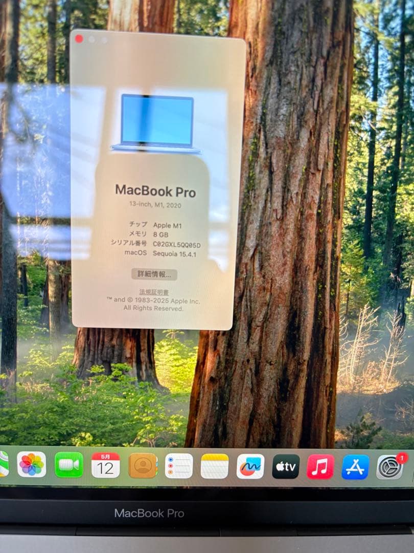 【箱、Masic Mouse付】MacBook Pro M1 13インチ