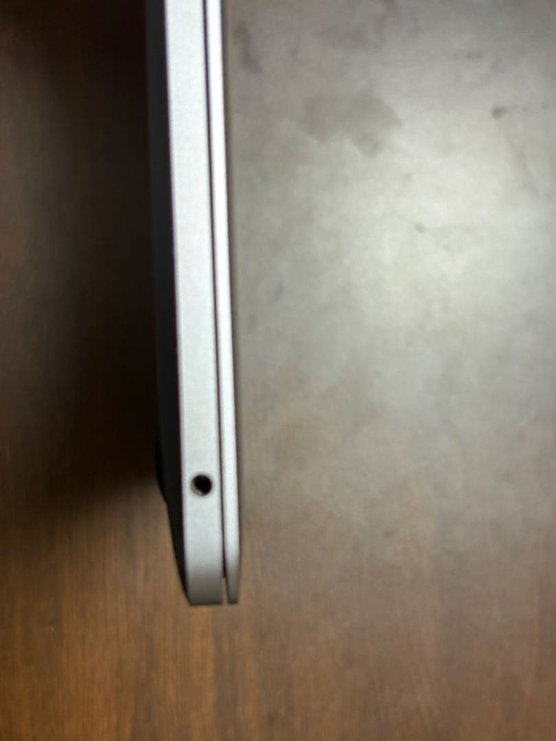 【箱、Masic Mouse付】MacBook Pro M1 13インチ