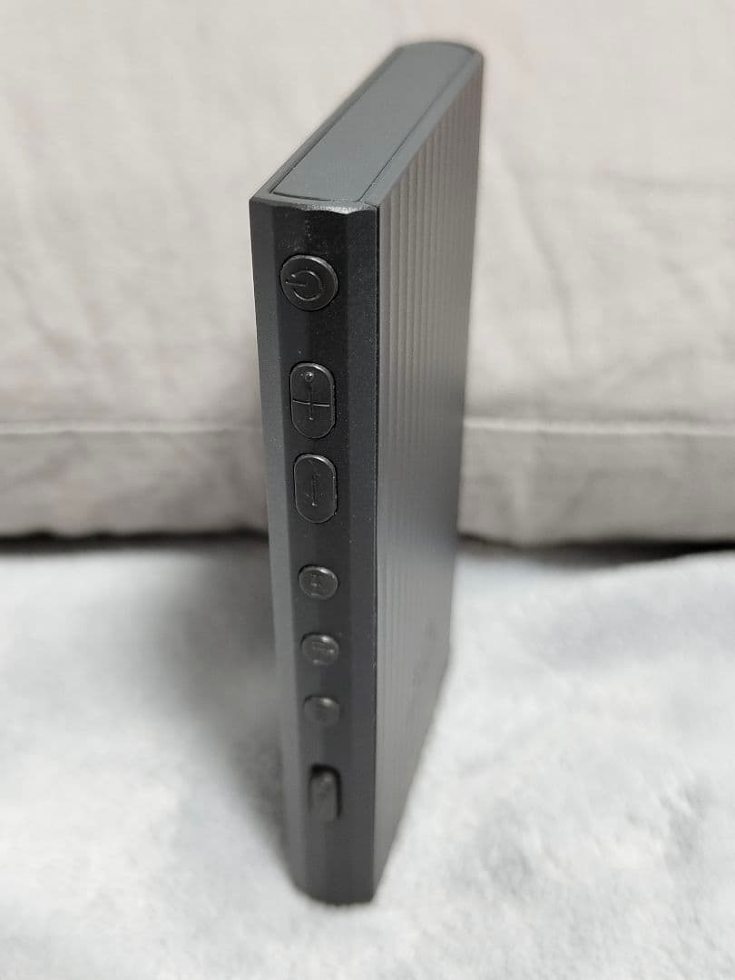 美品！SONY ソニー WALKMAN NW-A306 ハイレゾ対応 ケース付き