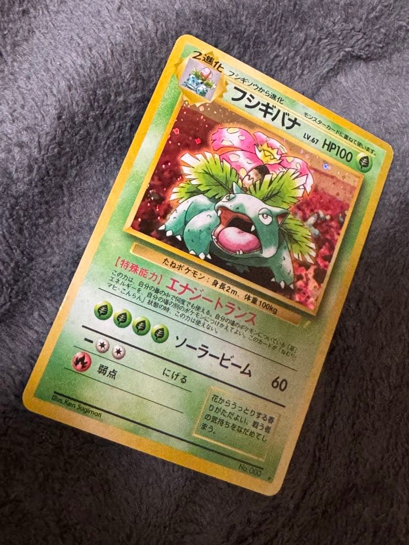 旧裏　ポケモンカード　イントロパック　フシギバナ