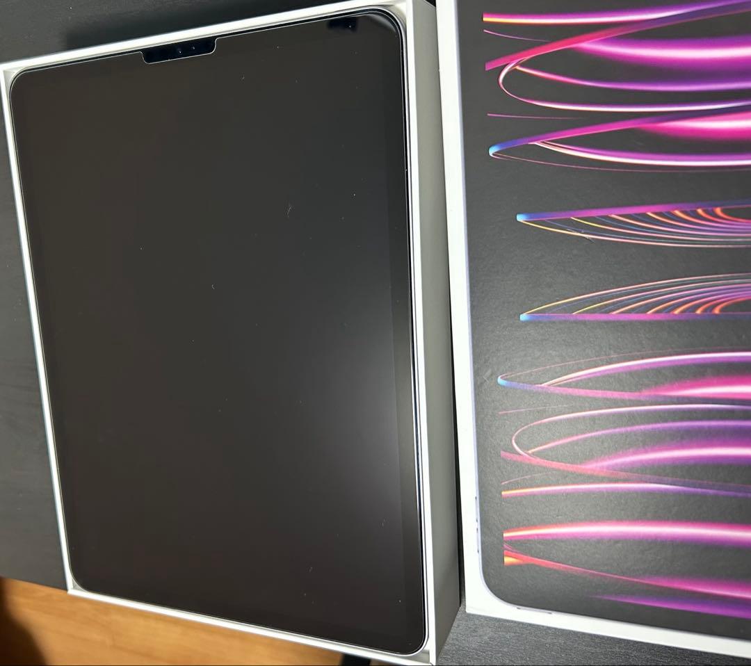 iPadPro11インチ第4世代256GB