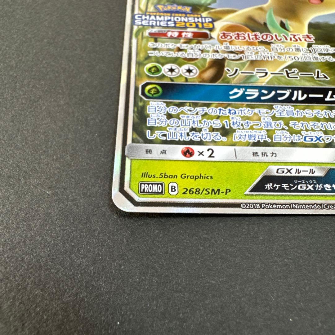 リーフィアGX：「チャンピオンシップシリーズ2019」 PROMO SM-Pプ…